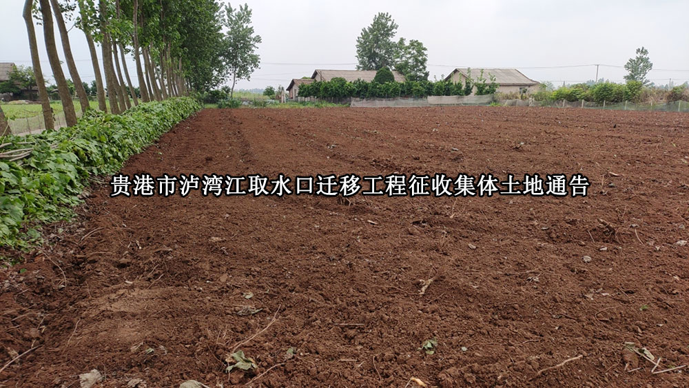 贵港市泸湾江取水口迁移工程征收集体土地通告